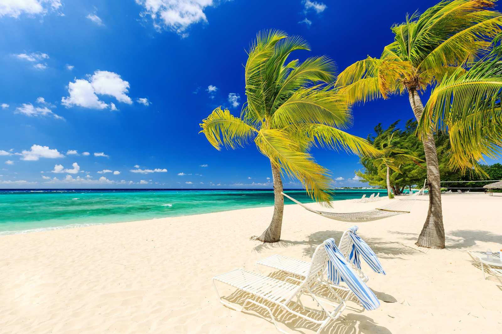 Tropical Beach Hammock & Palm Trees Wall Art