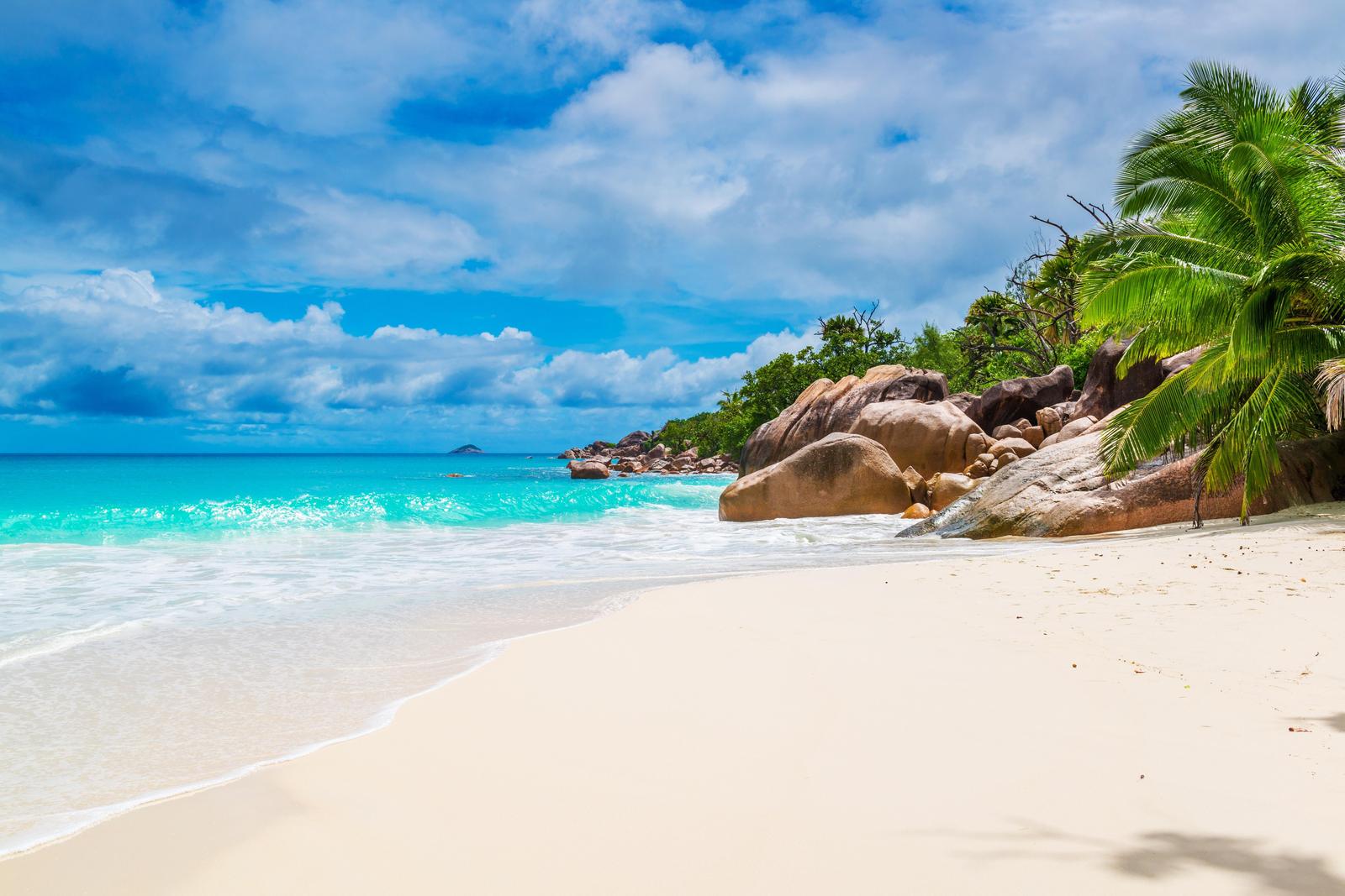 Tropical Paradise Beach Serenity Wall Art