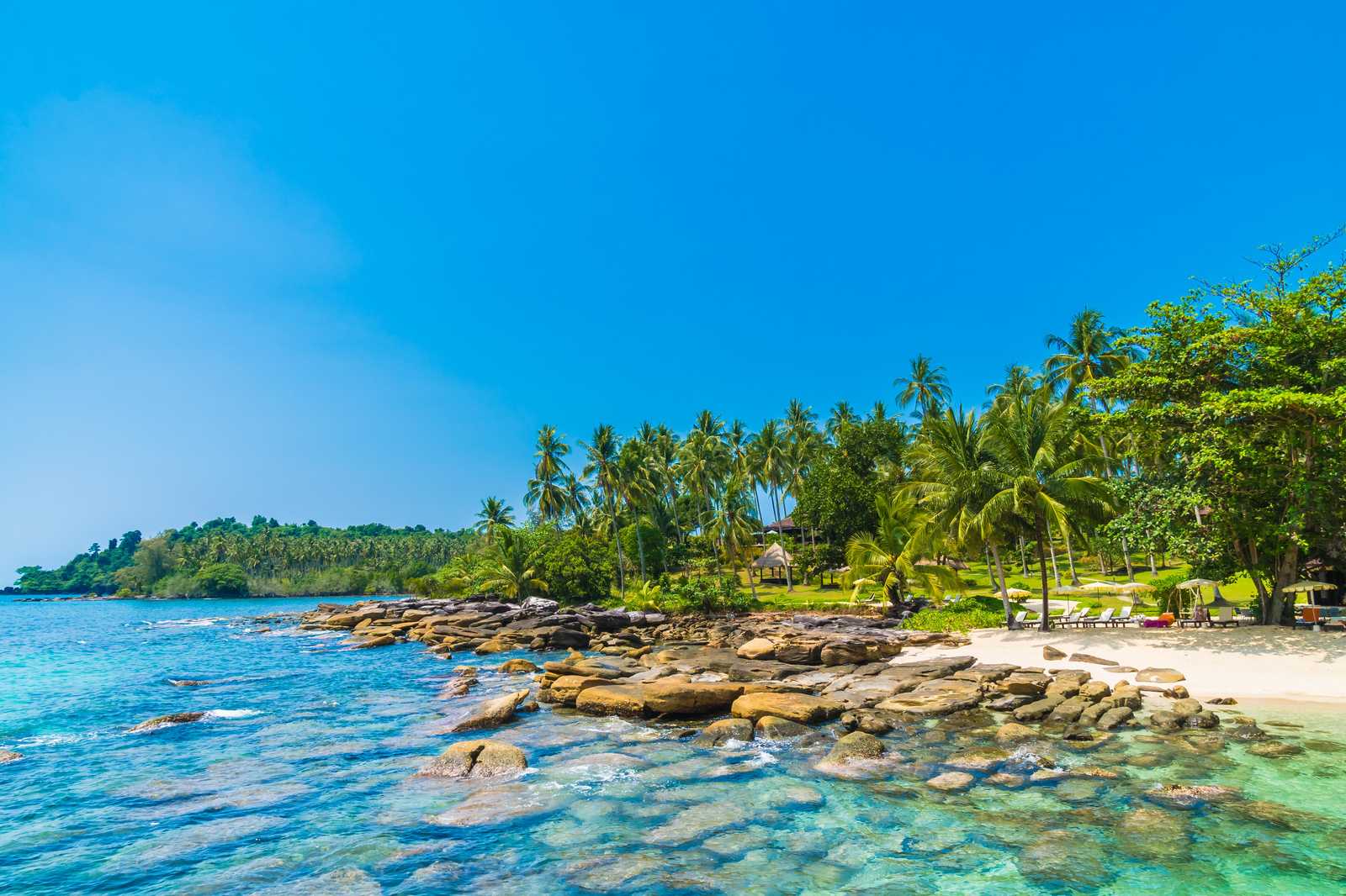 Tropical Paradise Beach Palm Trees Wall Art