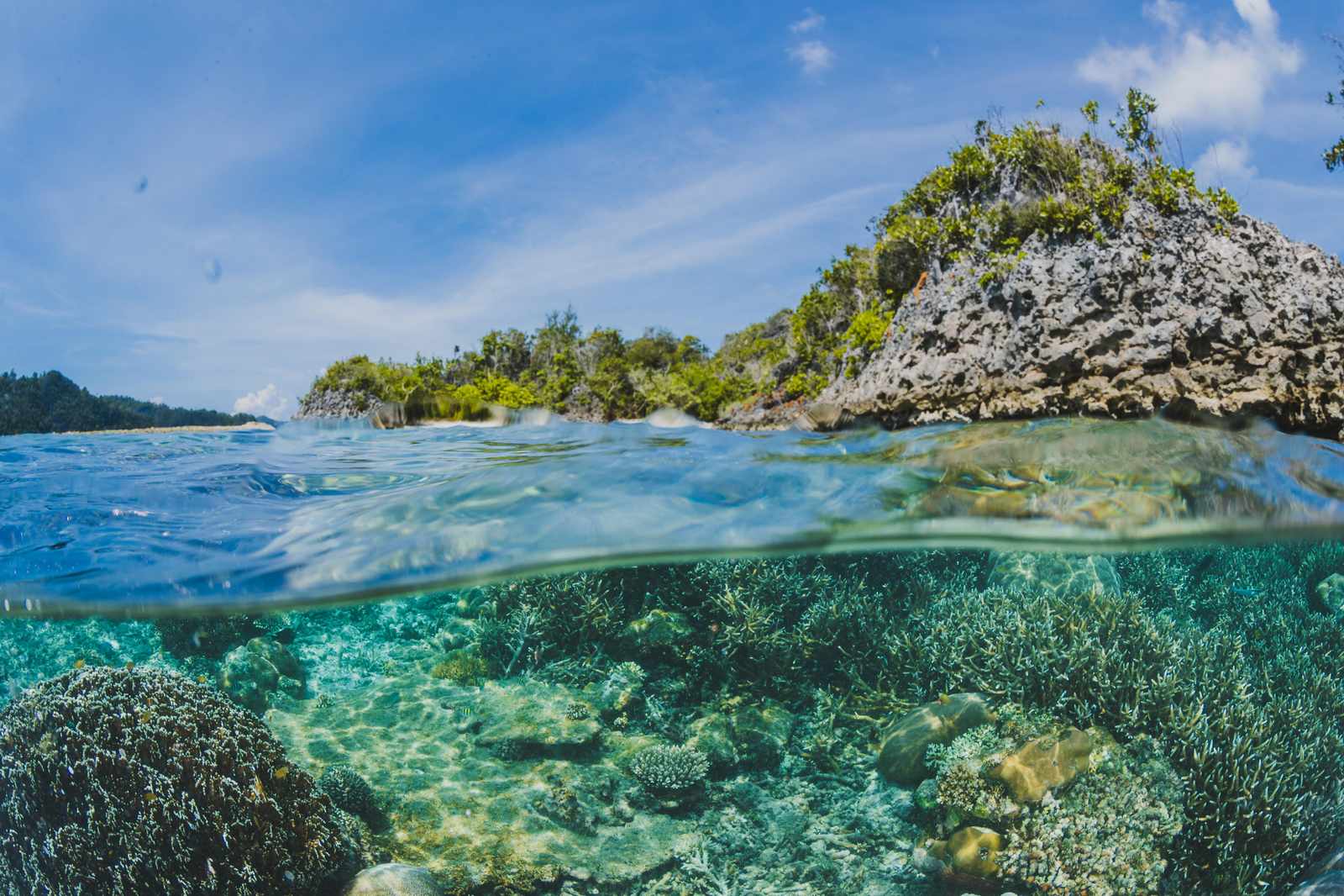 Tropical Paradise Split-Level Ocean Wall Art