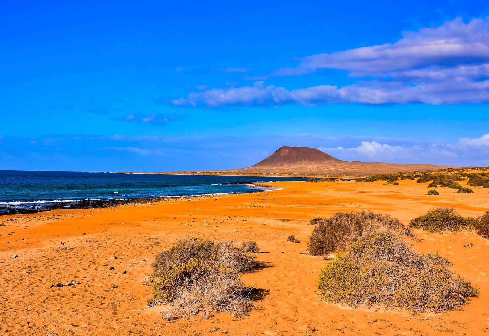 Deserted Beach Landscape Wall Art