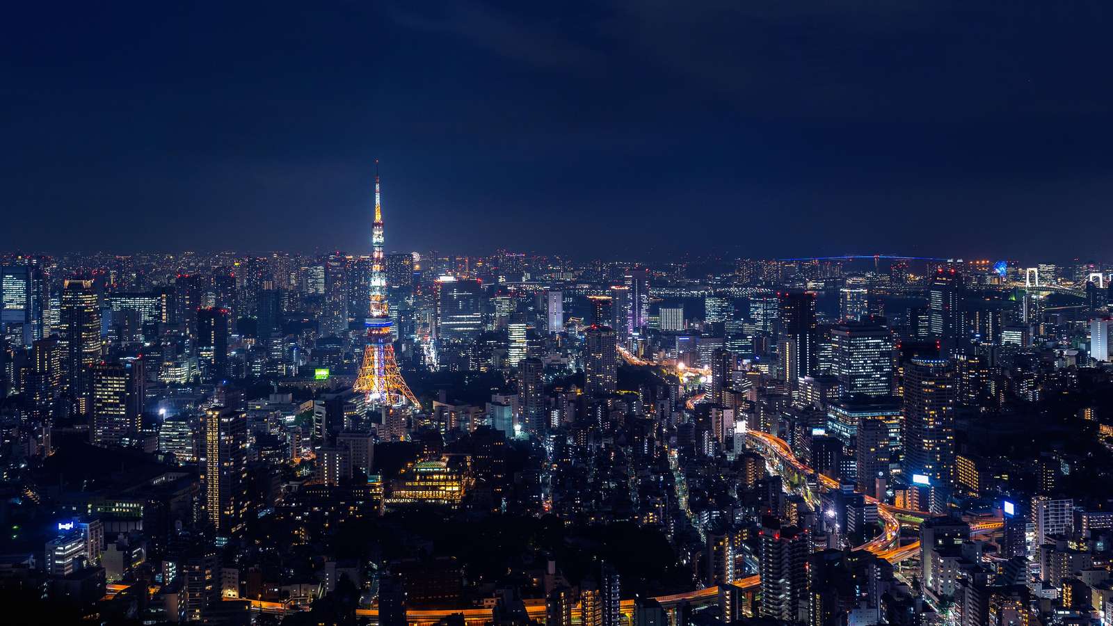 Tokyo Cityscape at Night Wall Art