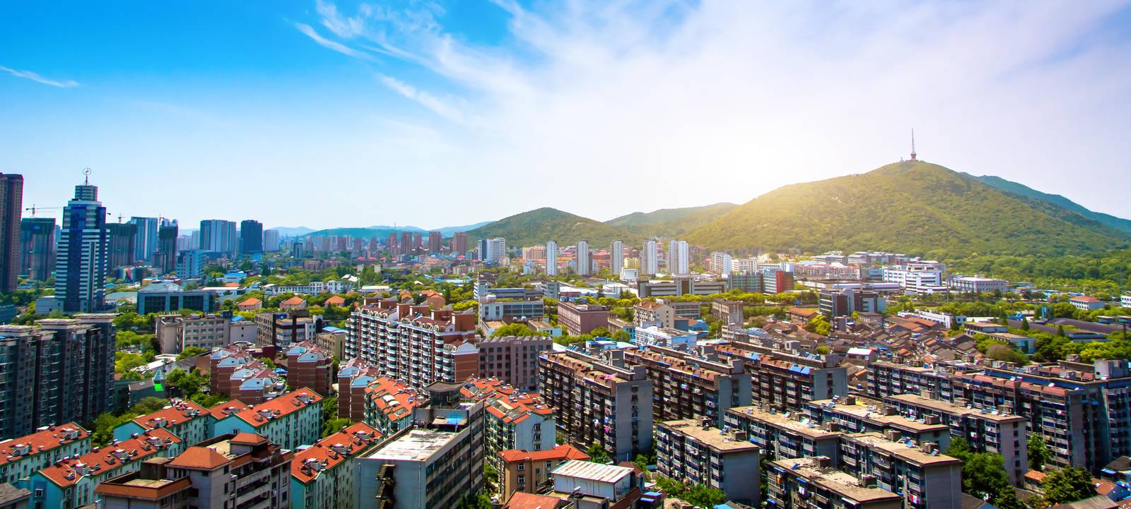 Urban Horizon Cityscape Wall Art