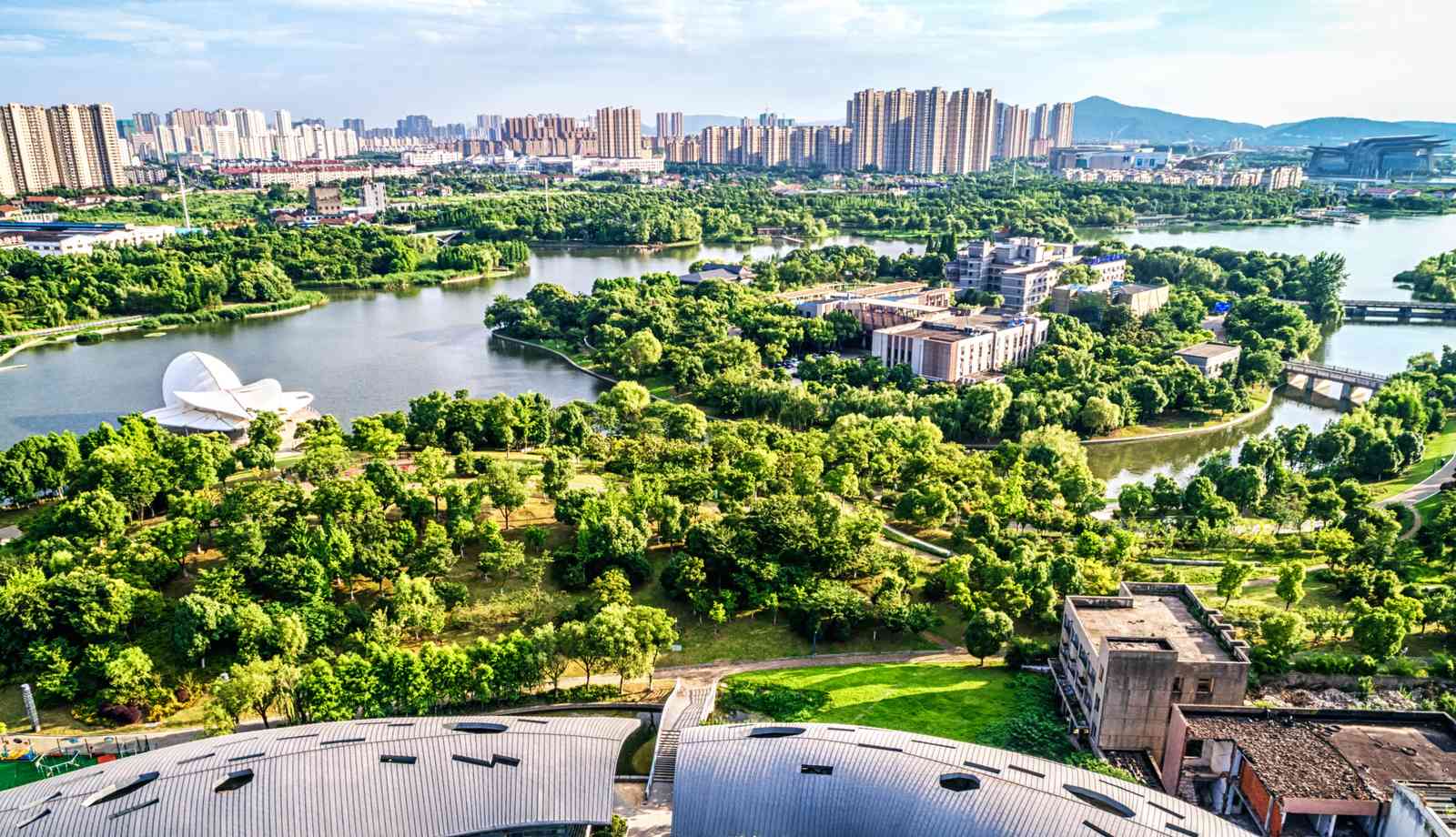 Urban Oasis Landscape Wall Art