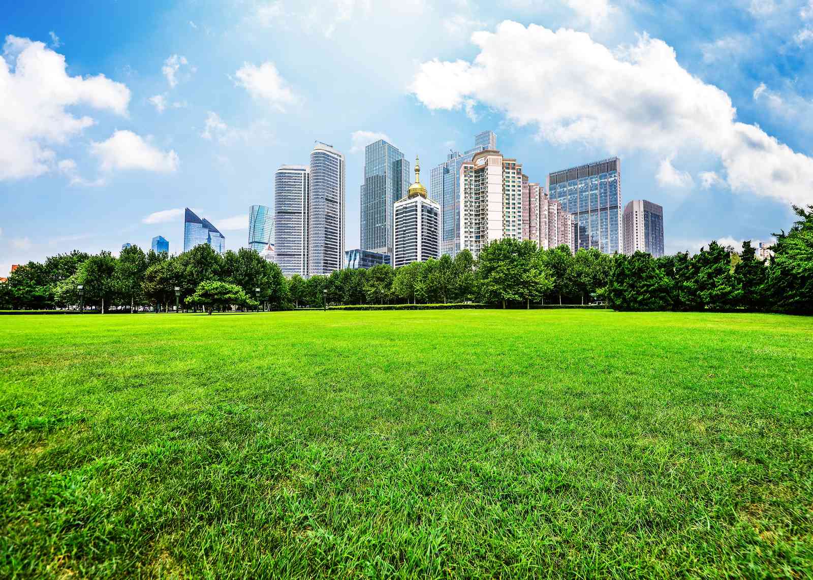 Urban Oasis Cityscape Green Lawn Wall Art