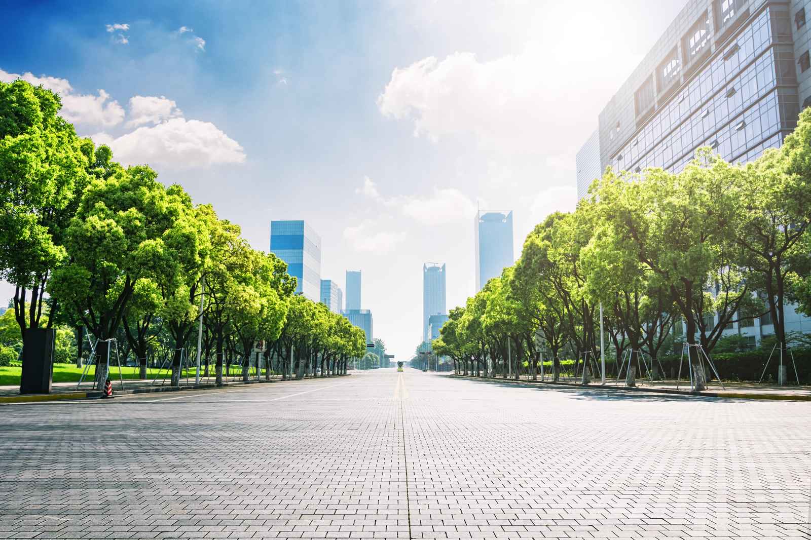 Urban Oasis Landscape Wall Art