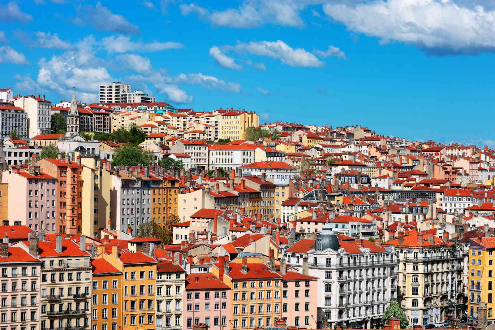 Lyon Skyline Panorama Wall Art