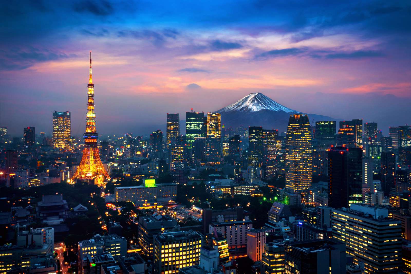 Tokyo Skyline Mt. Fuji Dusk Wall Art