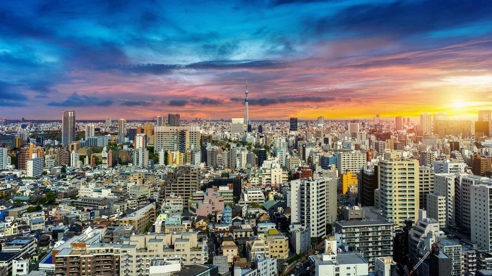 Tokyo Skyline Sunset Wall Art