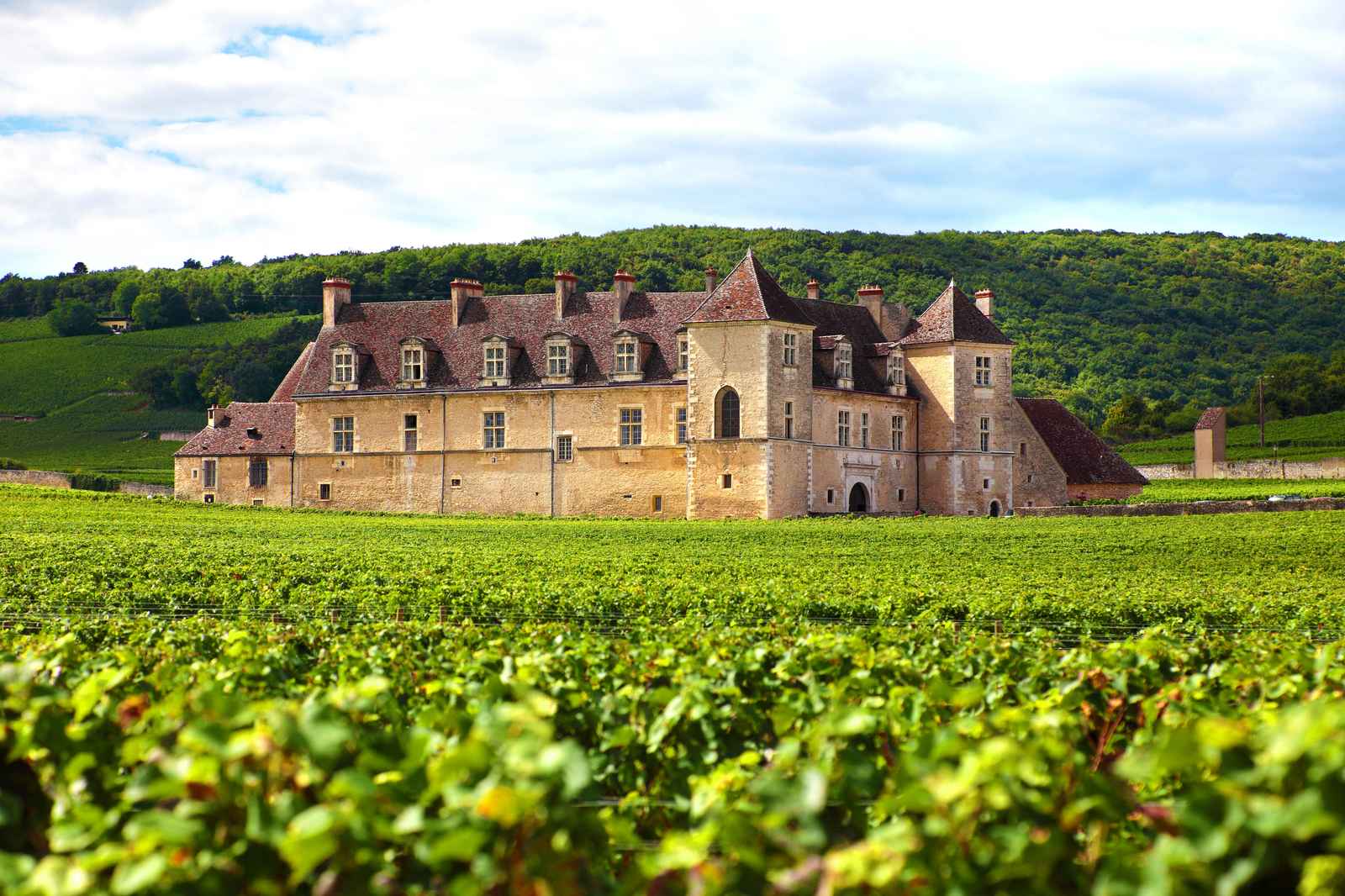 French Chateau Vineyard Landscape Wall Art