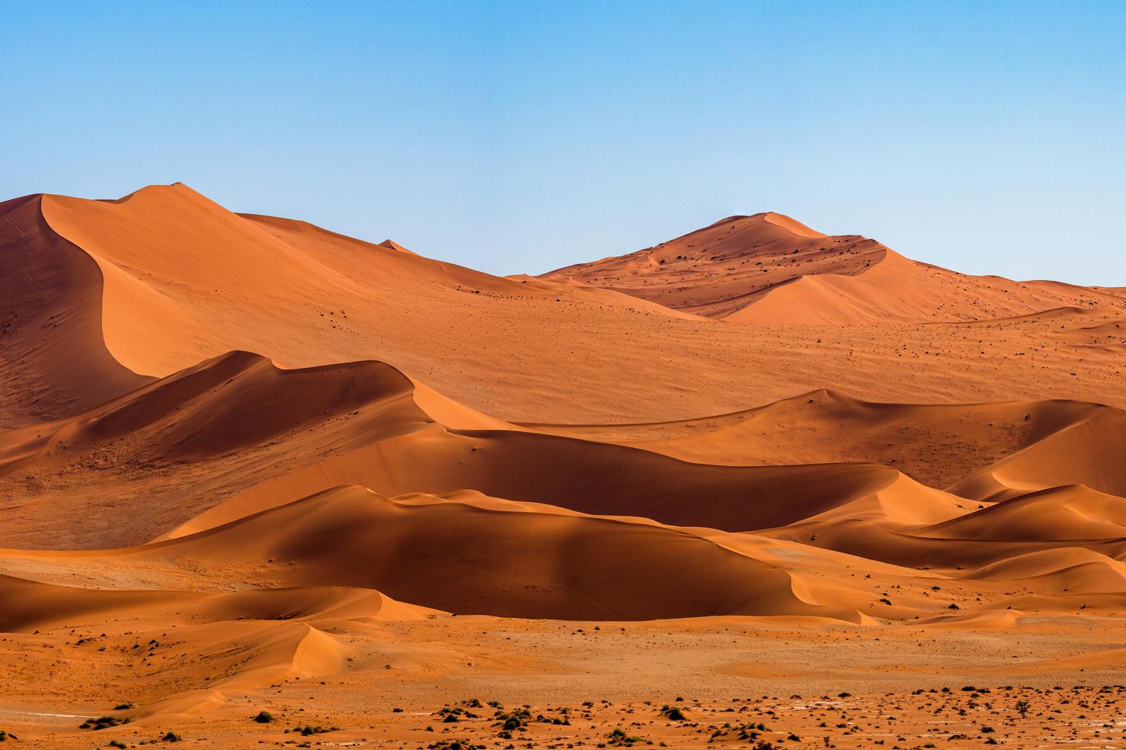 Serene Desert Dunes Wall Art