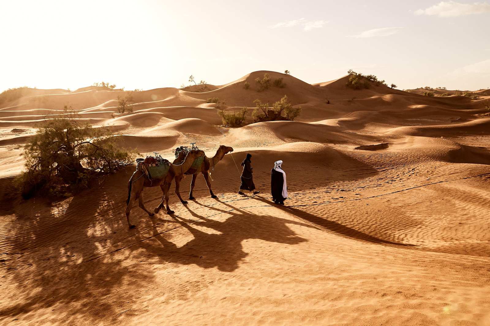 Desert Caravan Journey Wall Art