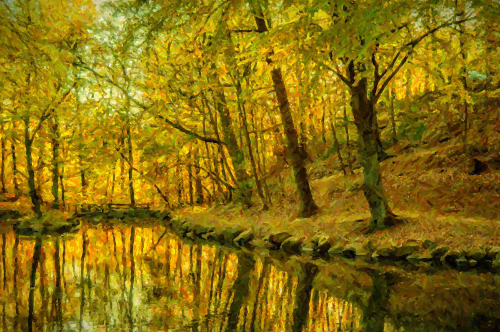 Golden Forest Reflection Wall Art