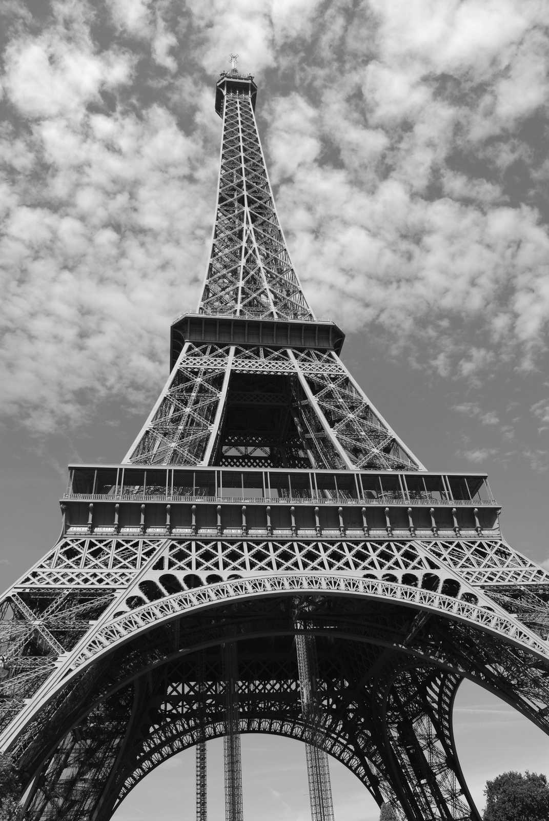 Parisian Icon Eiffel Tower Black and White Wall Art