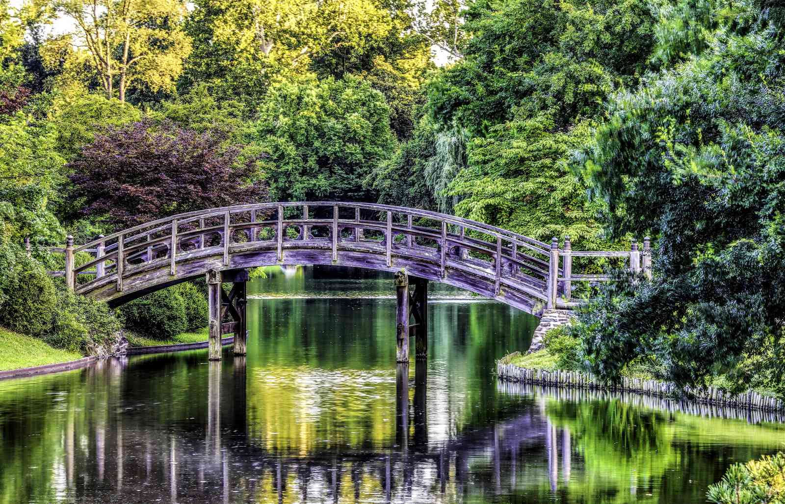Tranquil Garden Bridge Wall Art