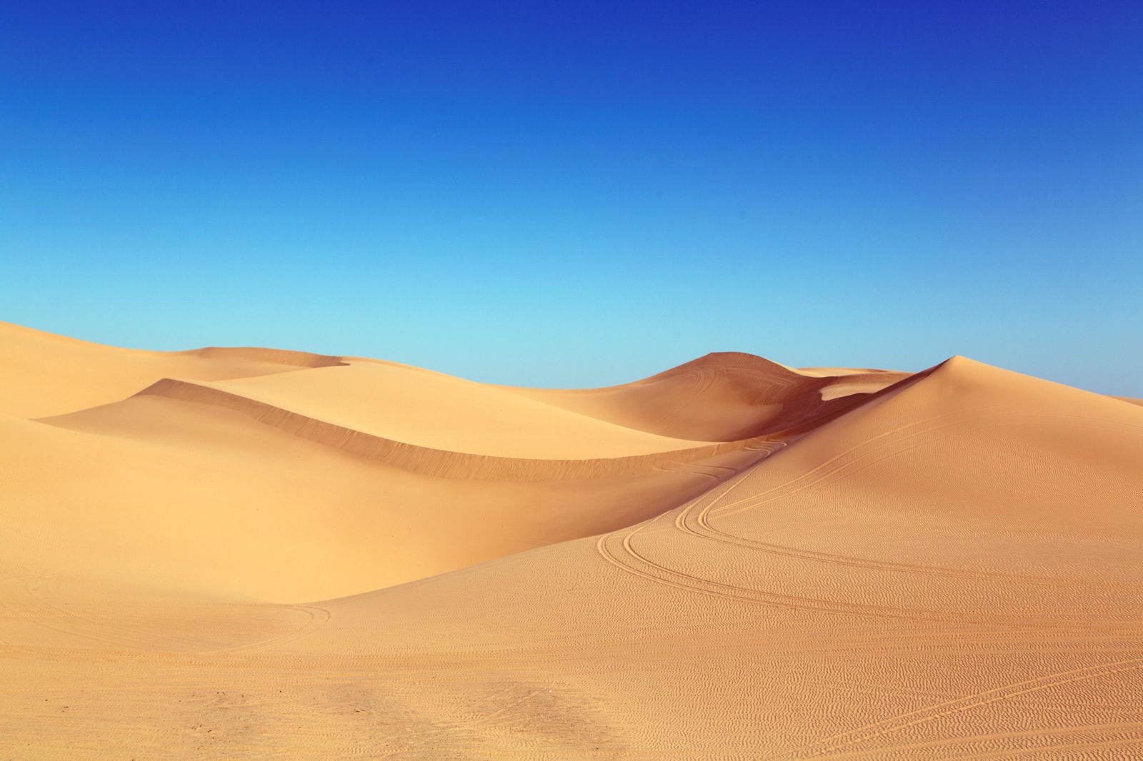 Serene Desert Dunes Landscape Wall Art