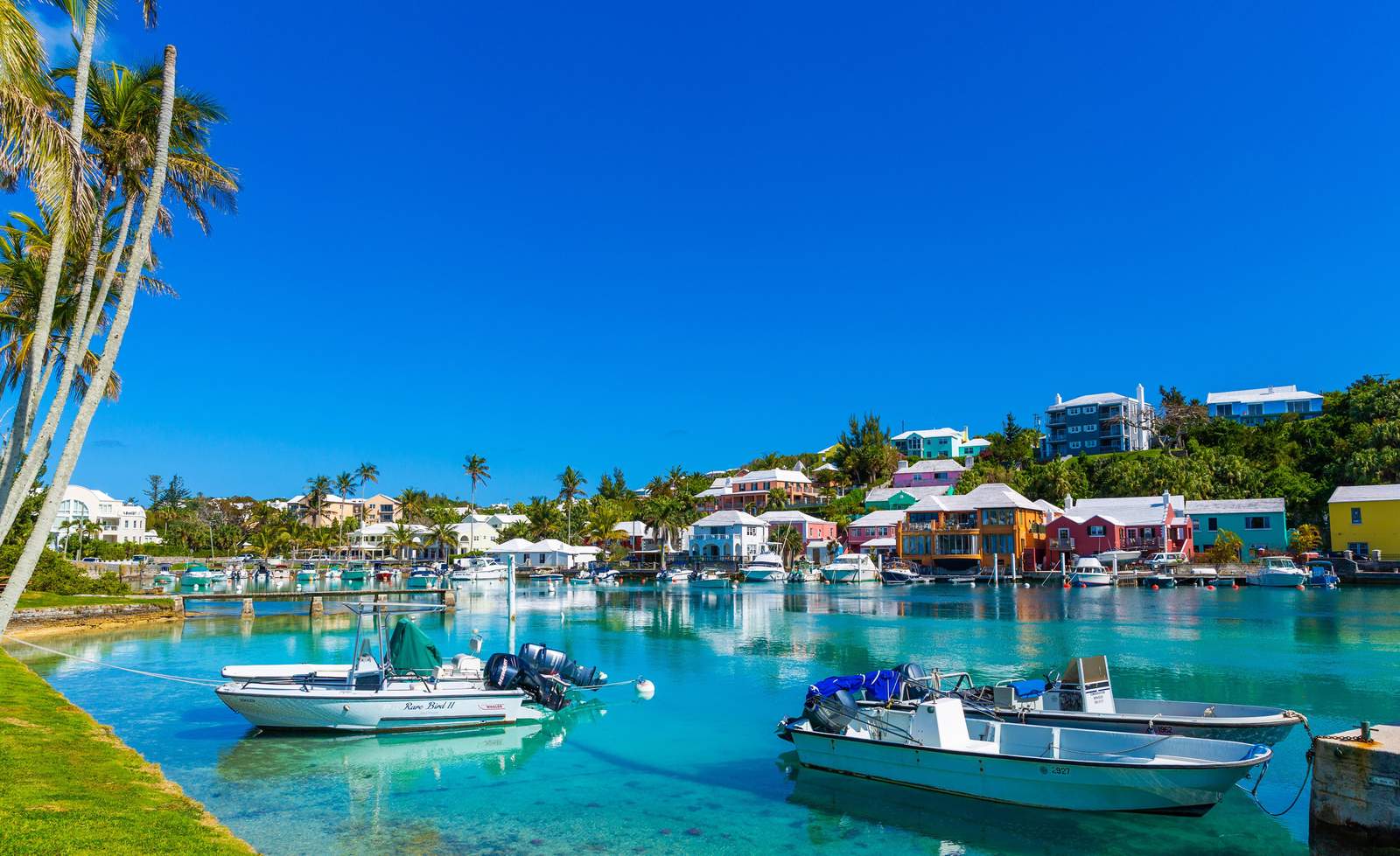 Tropical Harbor Boats & Colorful Homes Wall Art