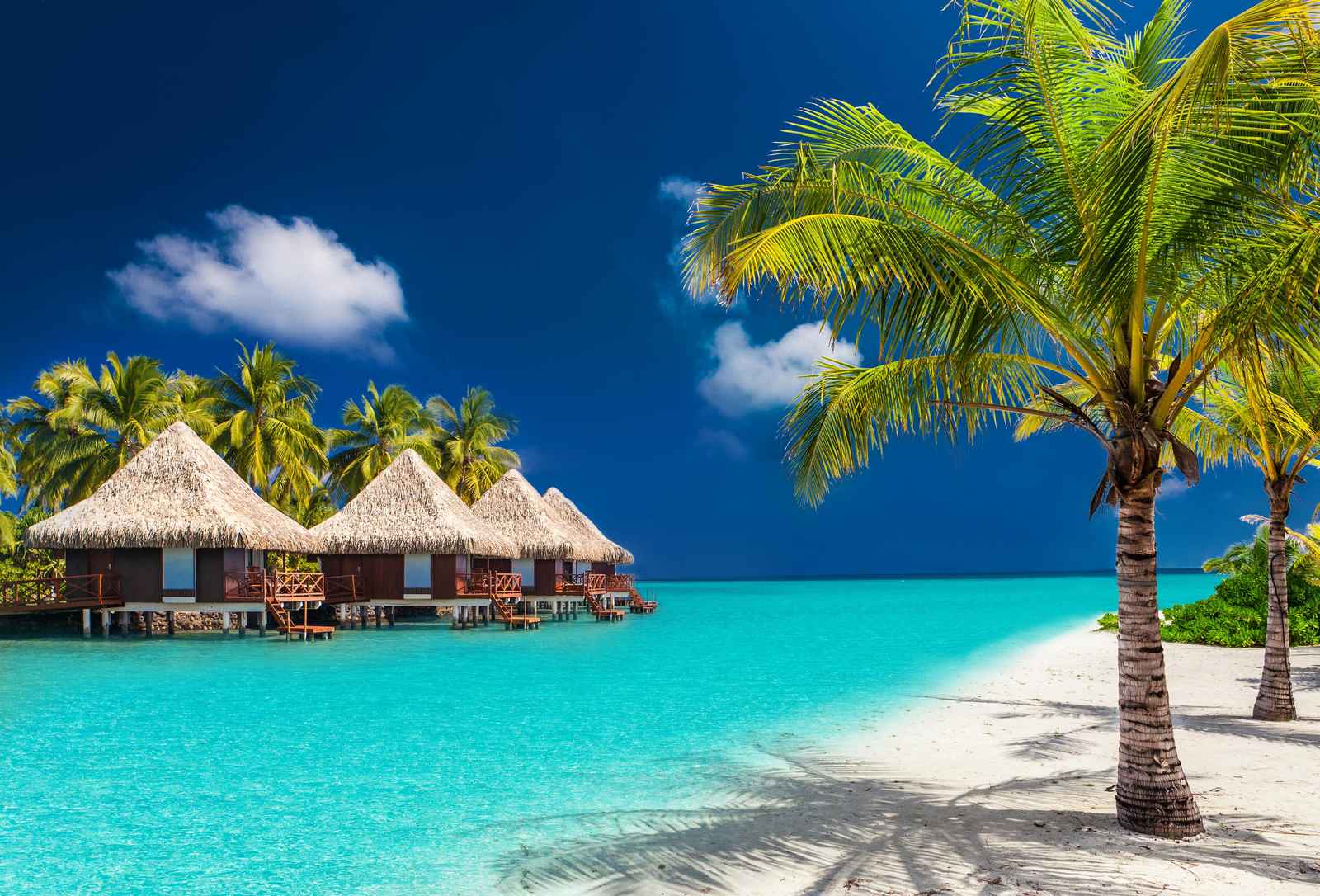 Tropical Paradise Overwater Bungalows Wall Art