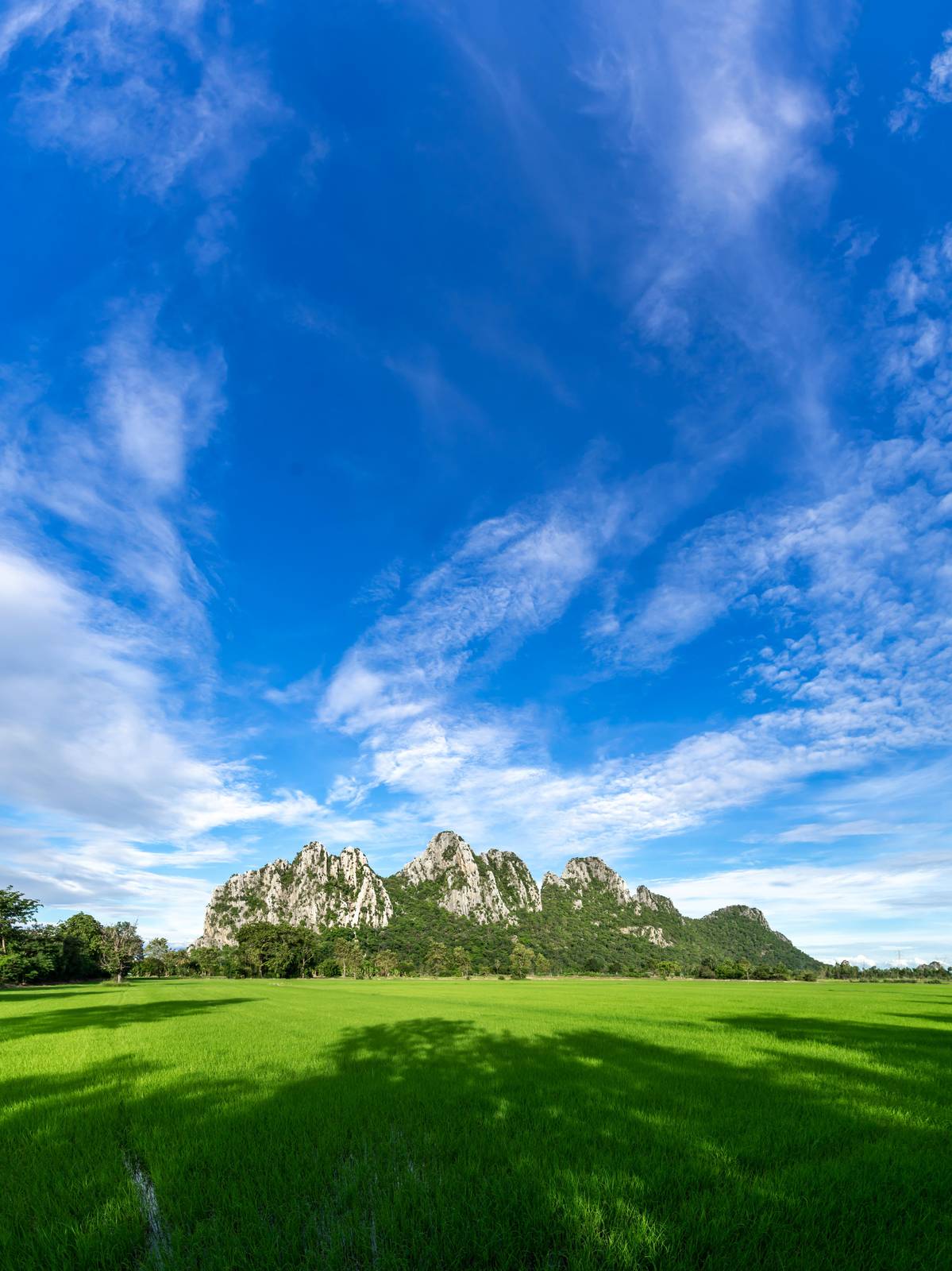 Serene Mountain Rice Field Wall Art