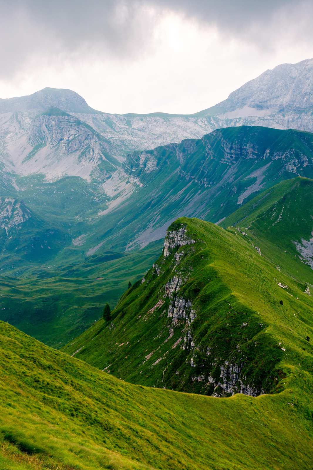 Lush Mountain Ridge Landscape Wall Art