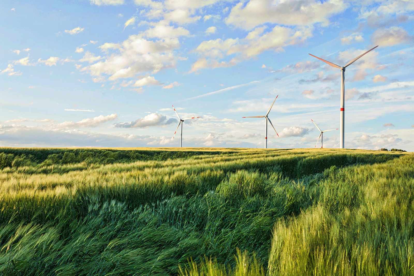 Serene Windmills Landscape Wall Art