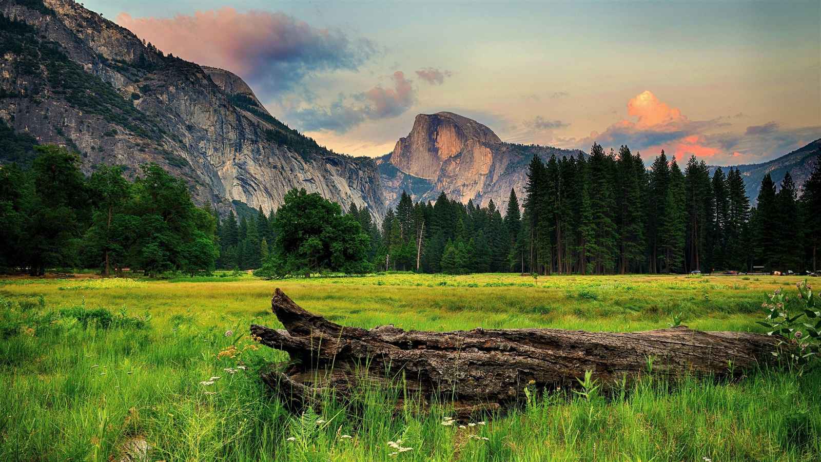 Yosemite Half Dome Landscape Wall Art