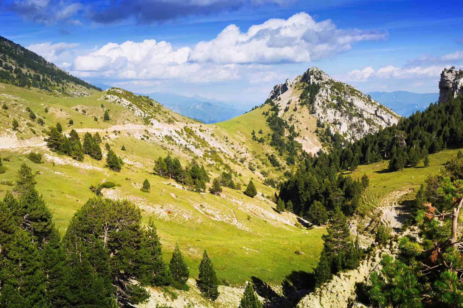 Majestic Mountain Landscape Wall Art