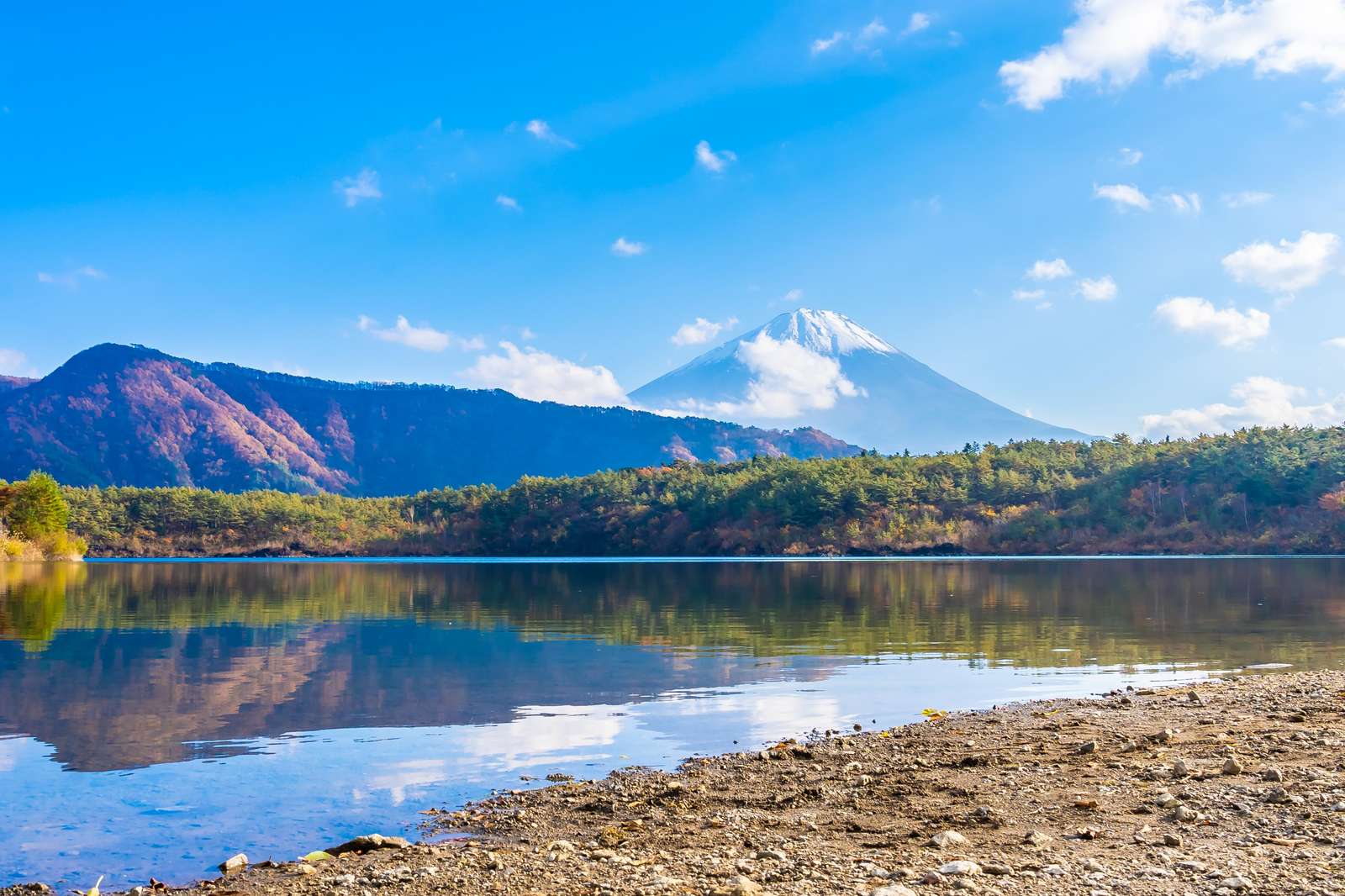 Majestic Fuji Lake Landscape Wall Art