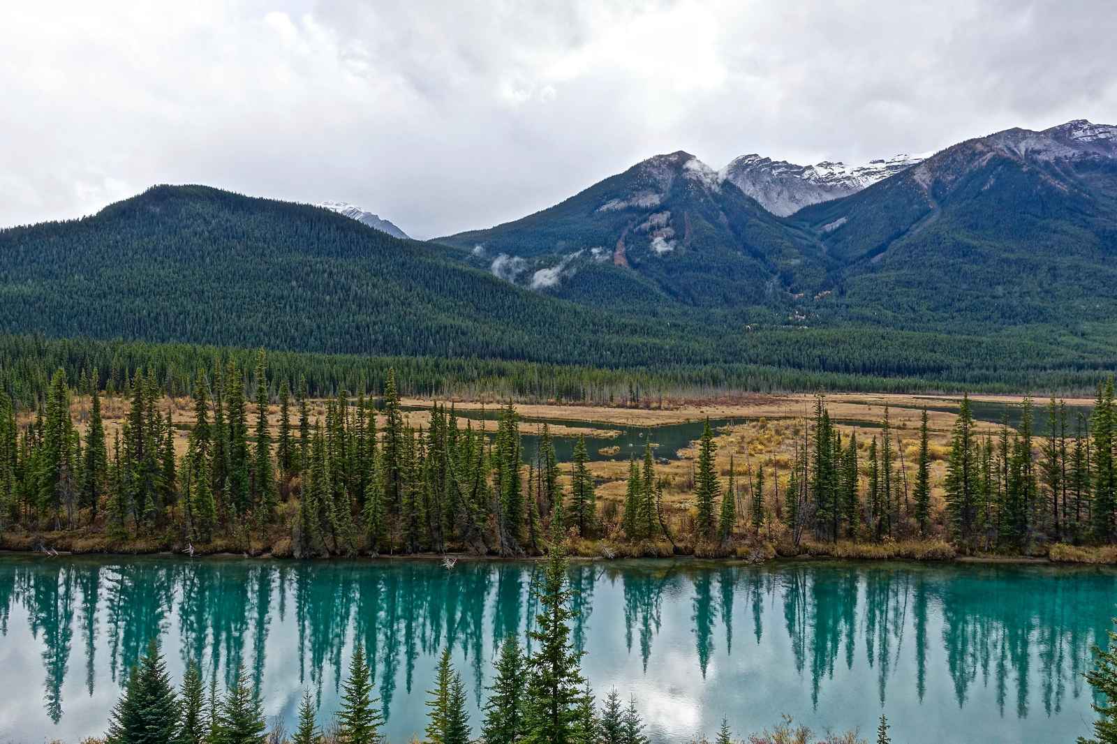 Tranquil Mountain Lake Forest Wall Art