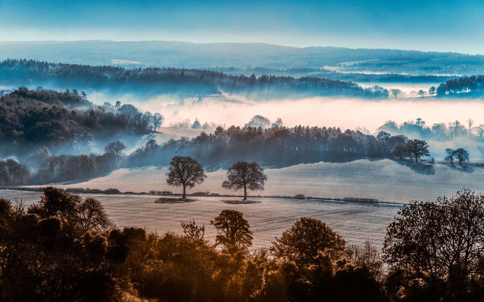 Misty Morning English Countryside Wall Art