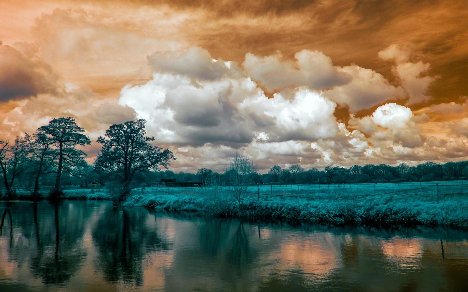 Serene Landscape Trees & River Wall Art