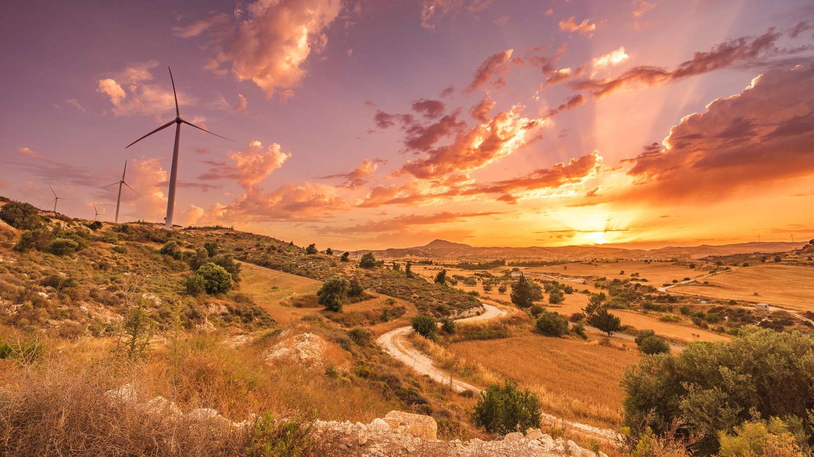Serene Windmills Sunset Landscape Wall Art