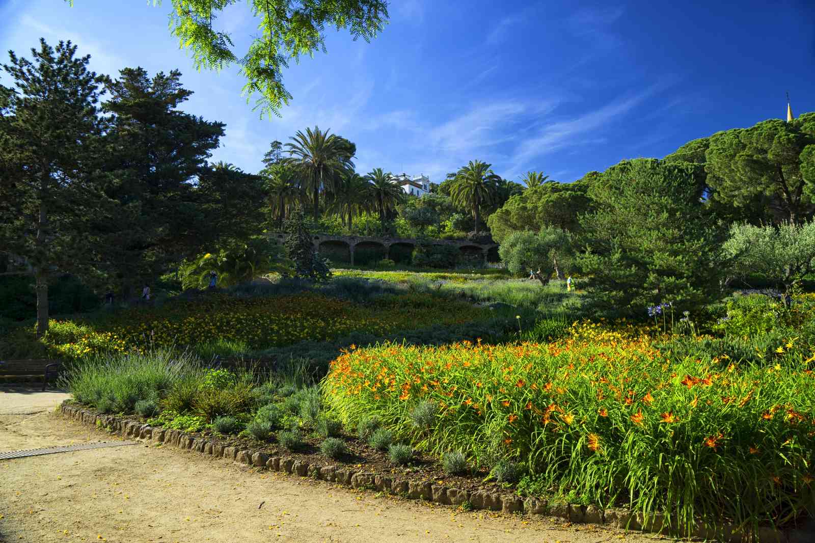 Vibrant Garden Landscape Wall Art