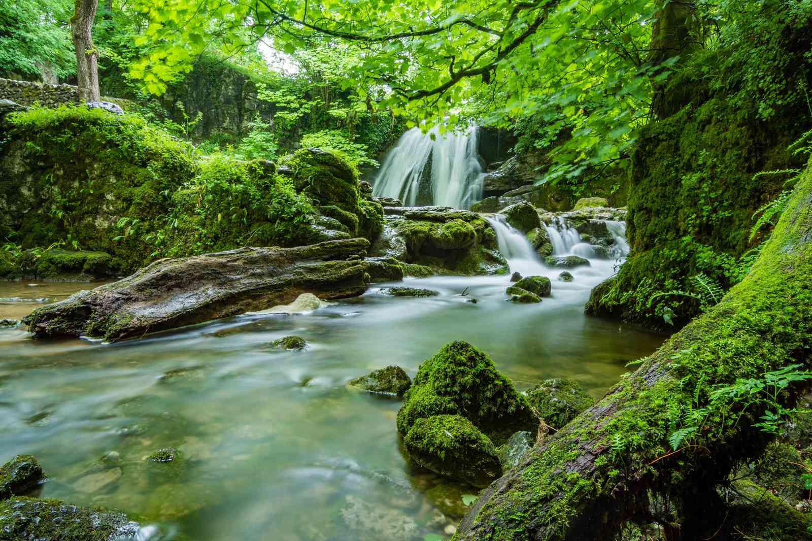 Tranquil Forest Waterfall Serenity Wall Art
