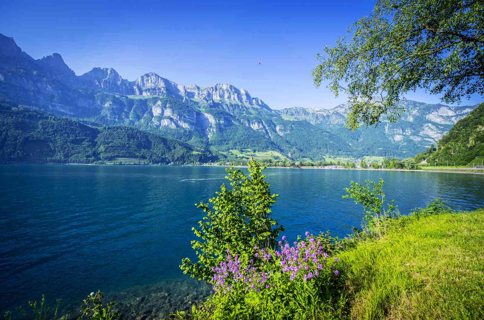 Serene Lake & Majestic Mountains Wall Art