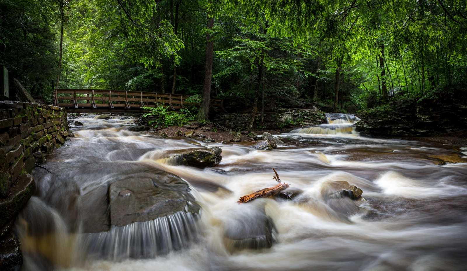 Serene Forest Waterfall & Bridge Wall Art
