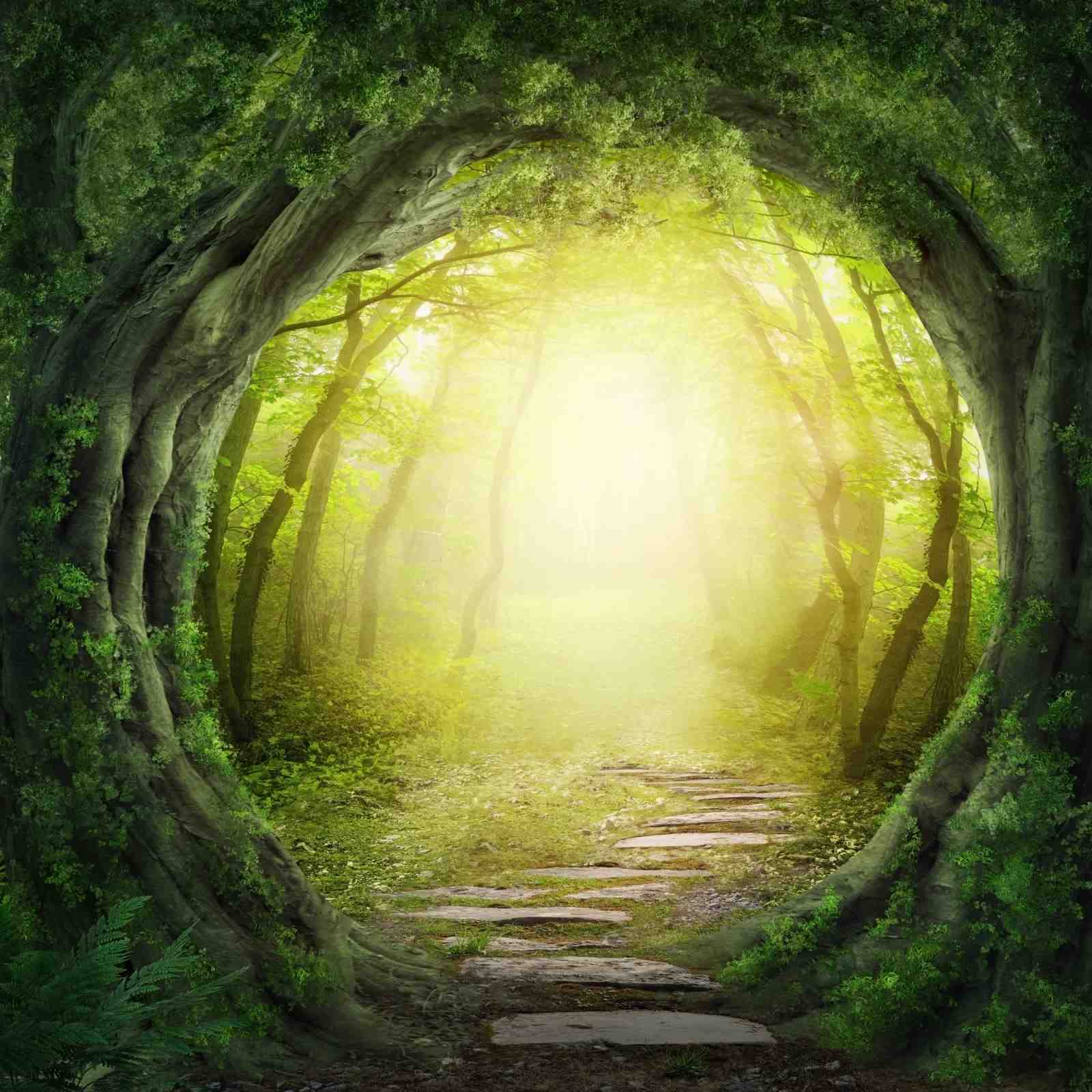 Enchanted Forest Pathway Wall Art