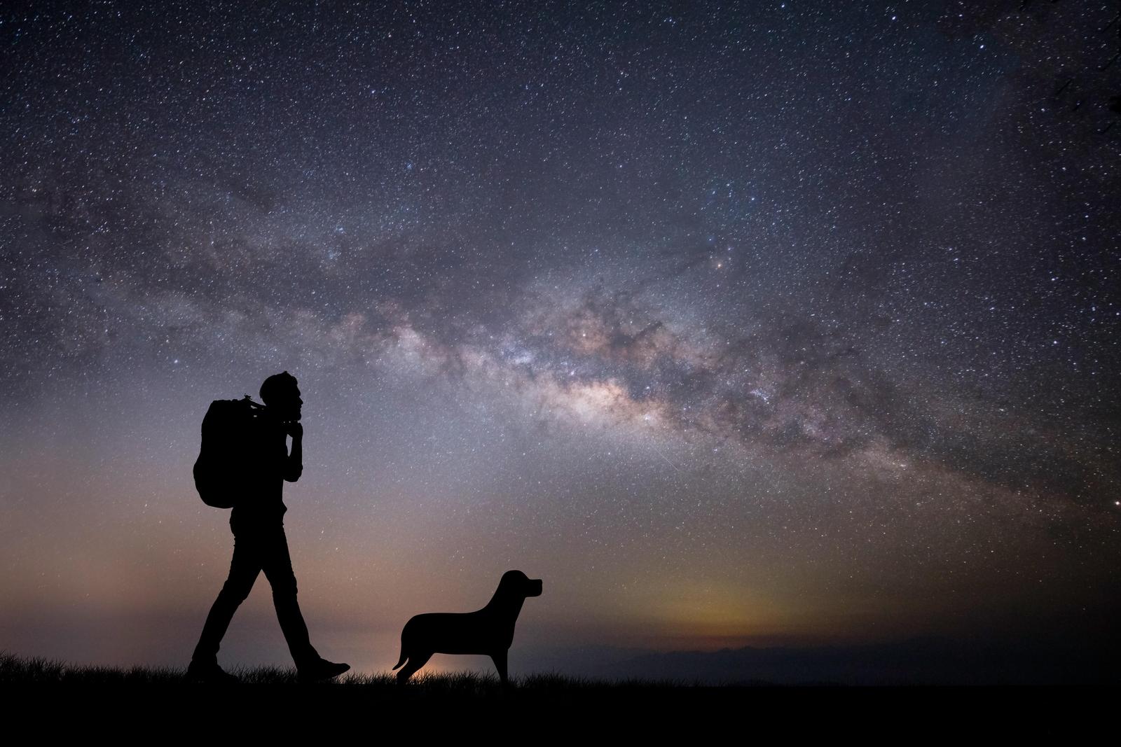 Man & Dog Under Milky Way Wall Art