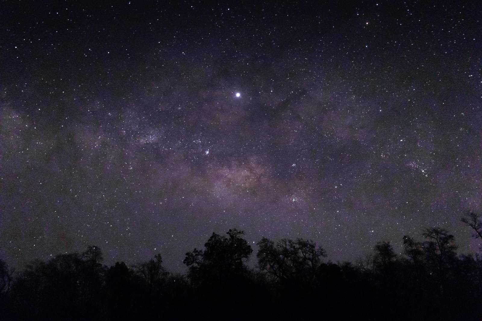 Milky Way Night Sky Over Trees Wall Art