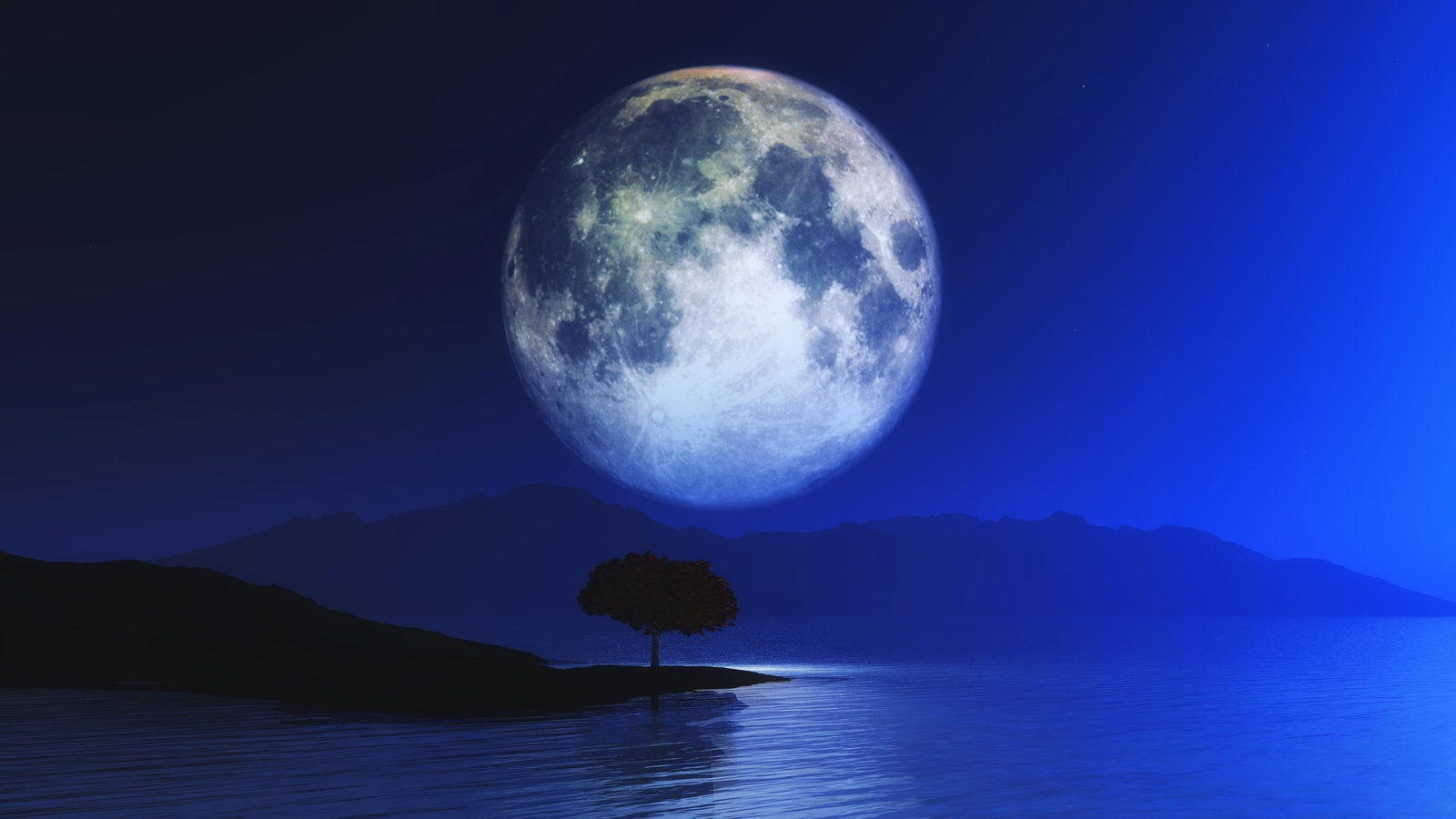 Serene Moonlit Landscape Wall Art