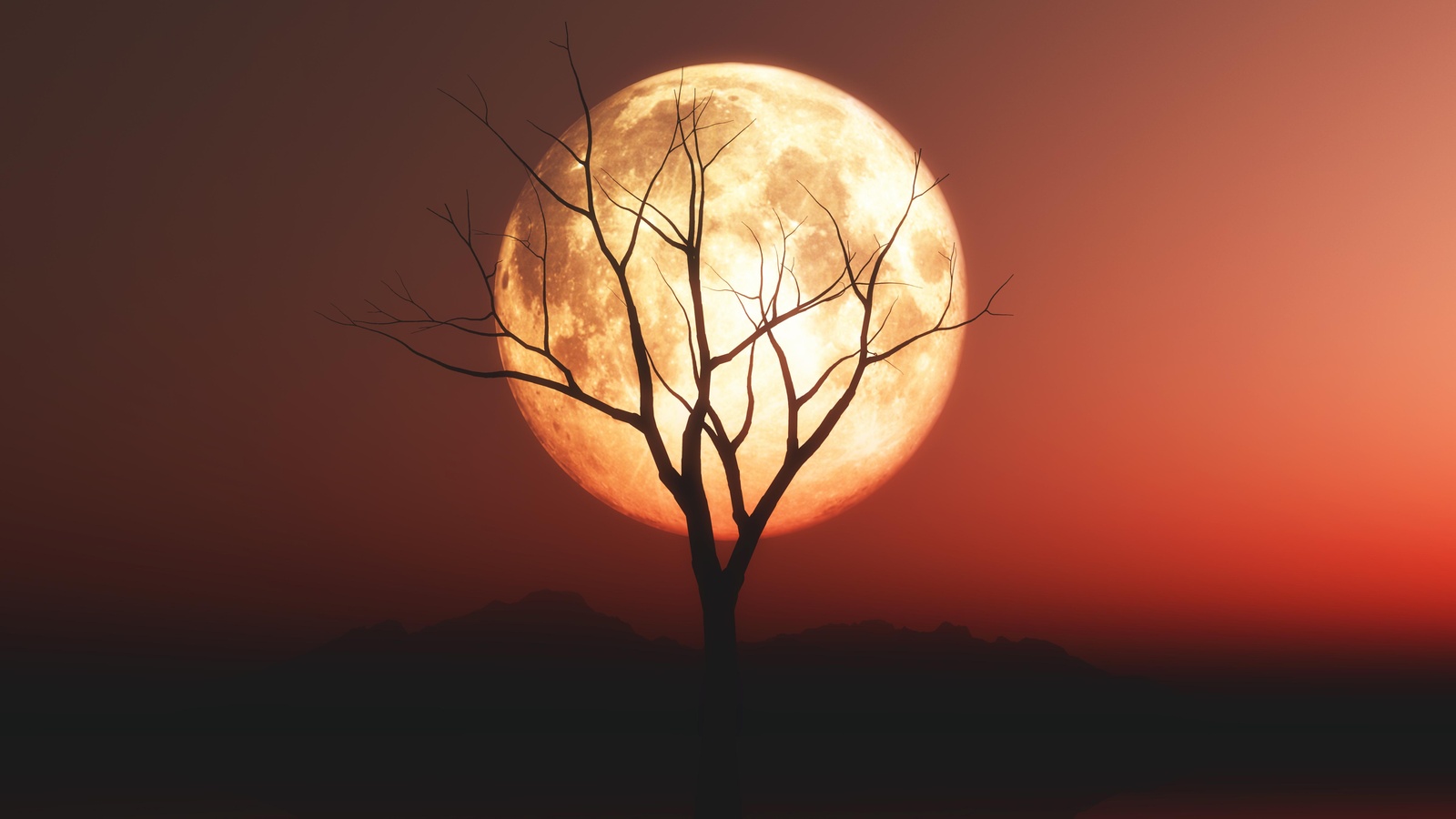 Mysterious Full Moon & Bare Tree Wall Art