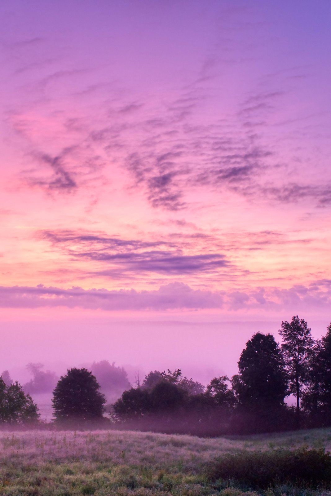 Dreamy Lavender Sunrise Meadow Wall Art