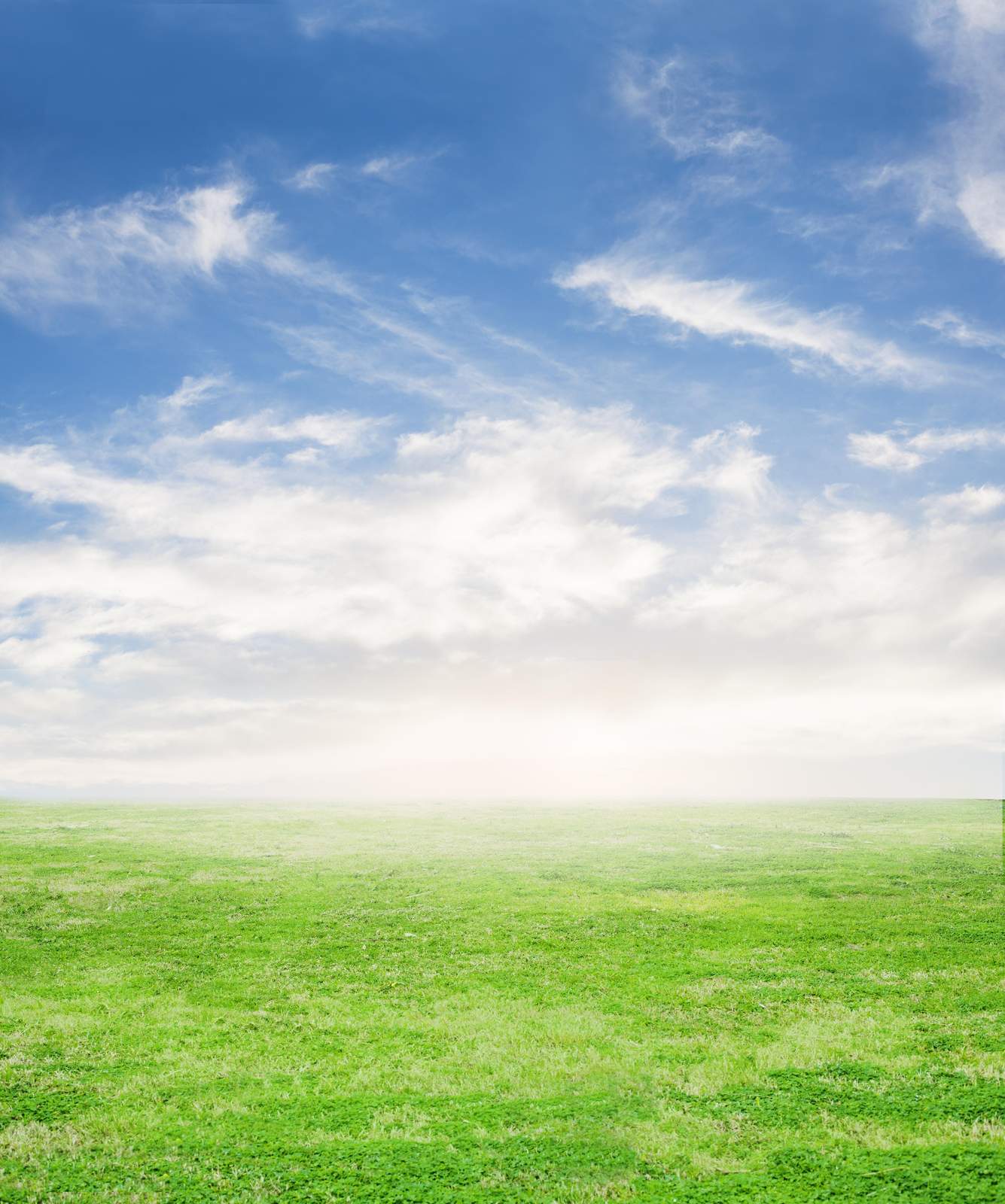 Serene Green Field & Blue Sky Wall Art