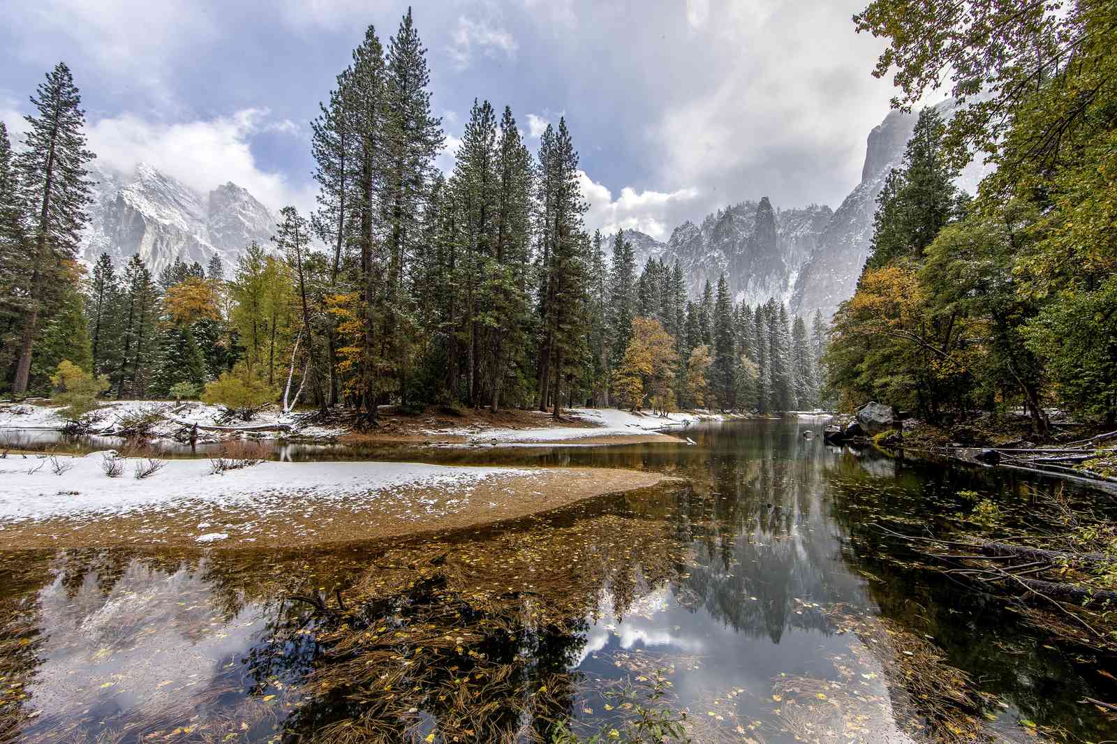 Yosemite Serenity Snow-Kissed Pines Wall Art
