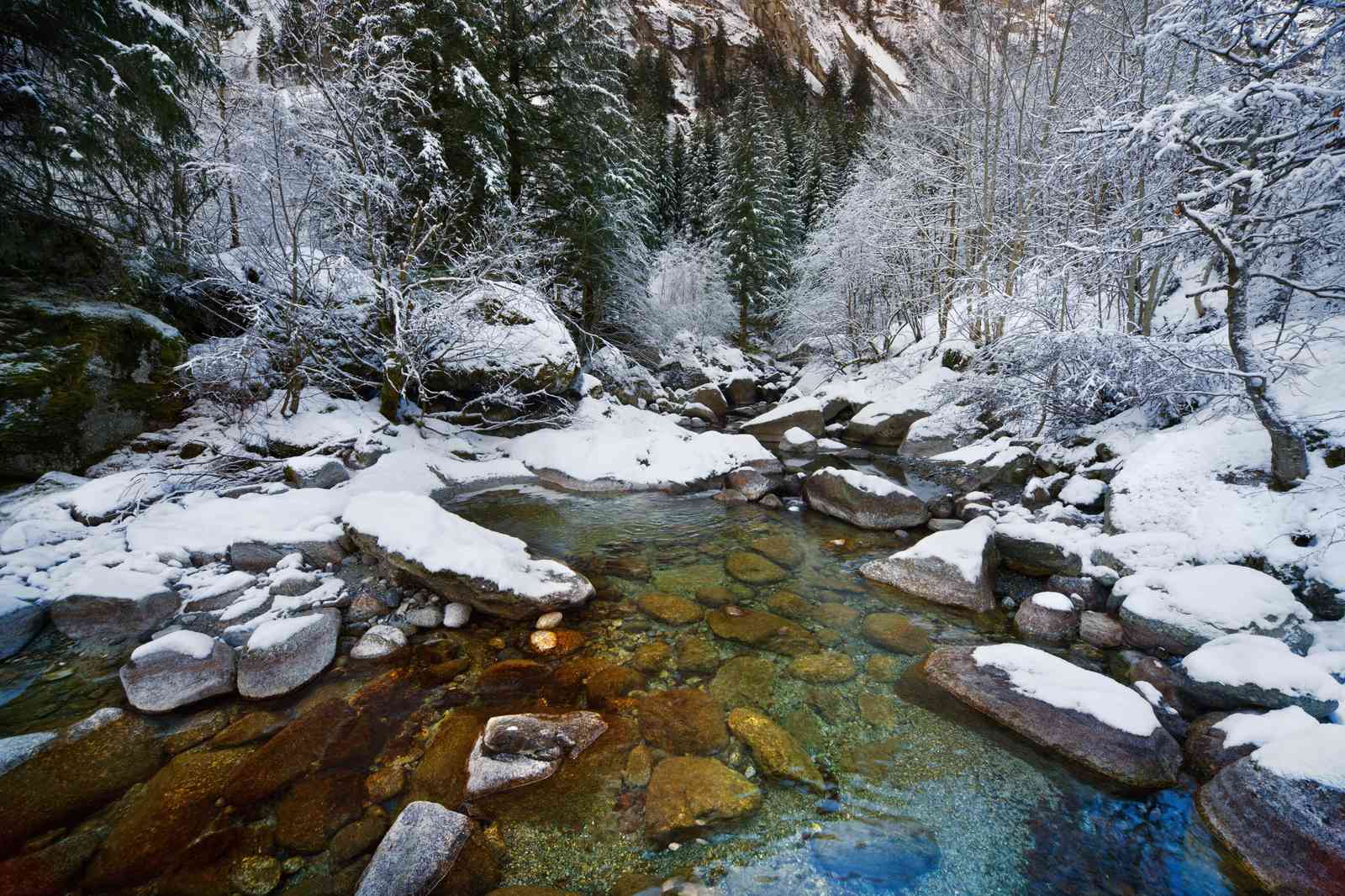 Tranquil Winter Forest Stream Wall Art