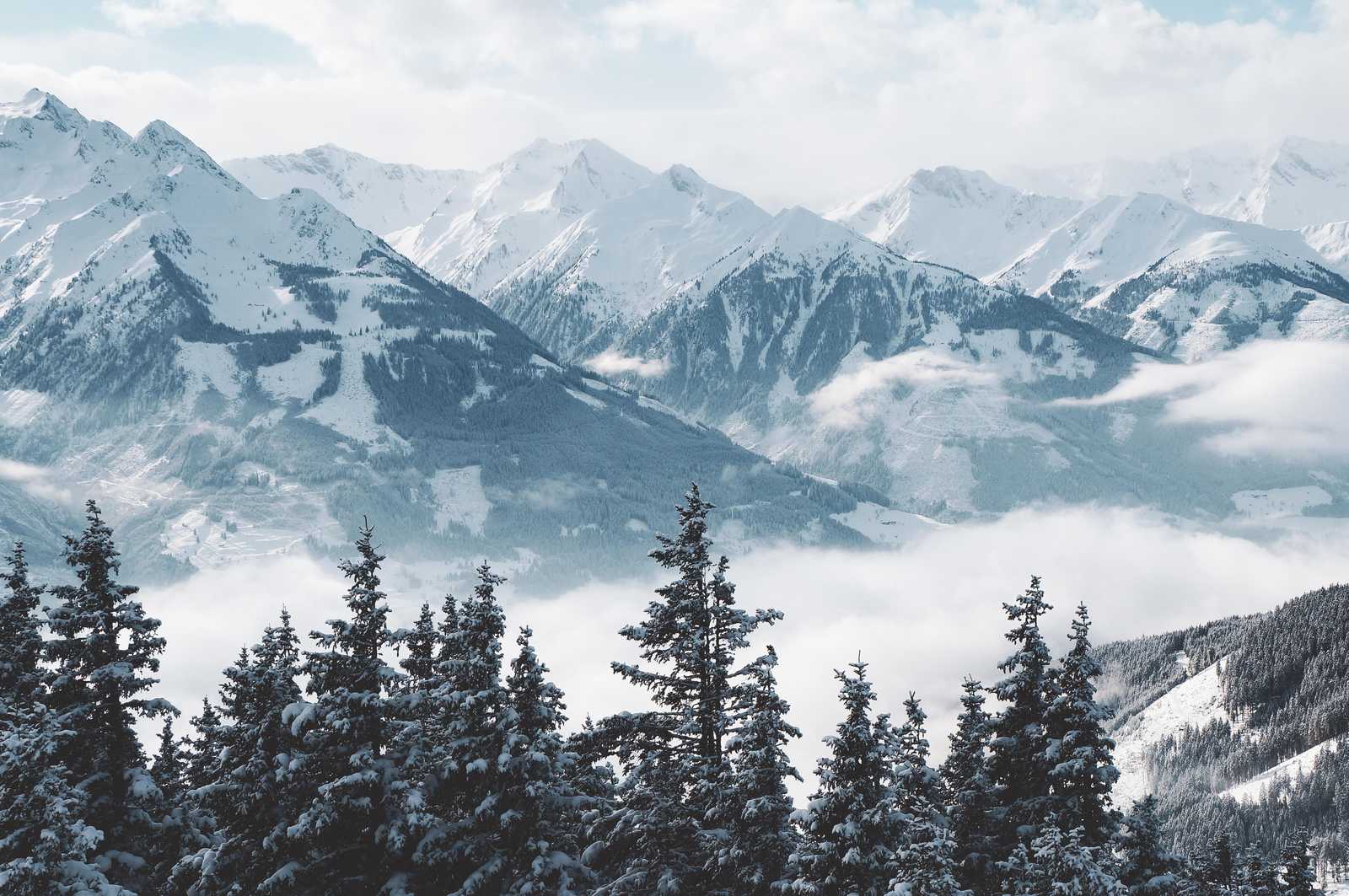 Serene Winter Mountain Forest Wall Art