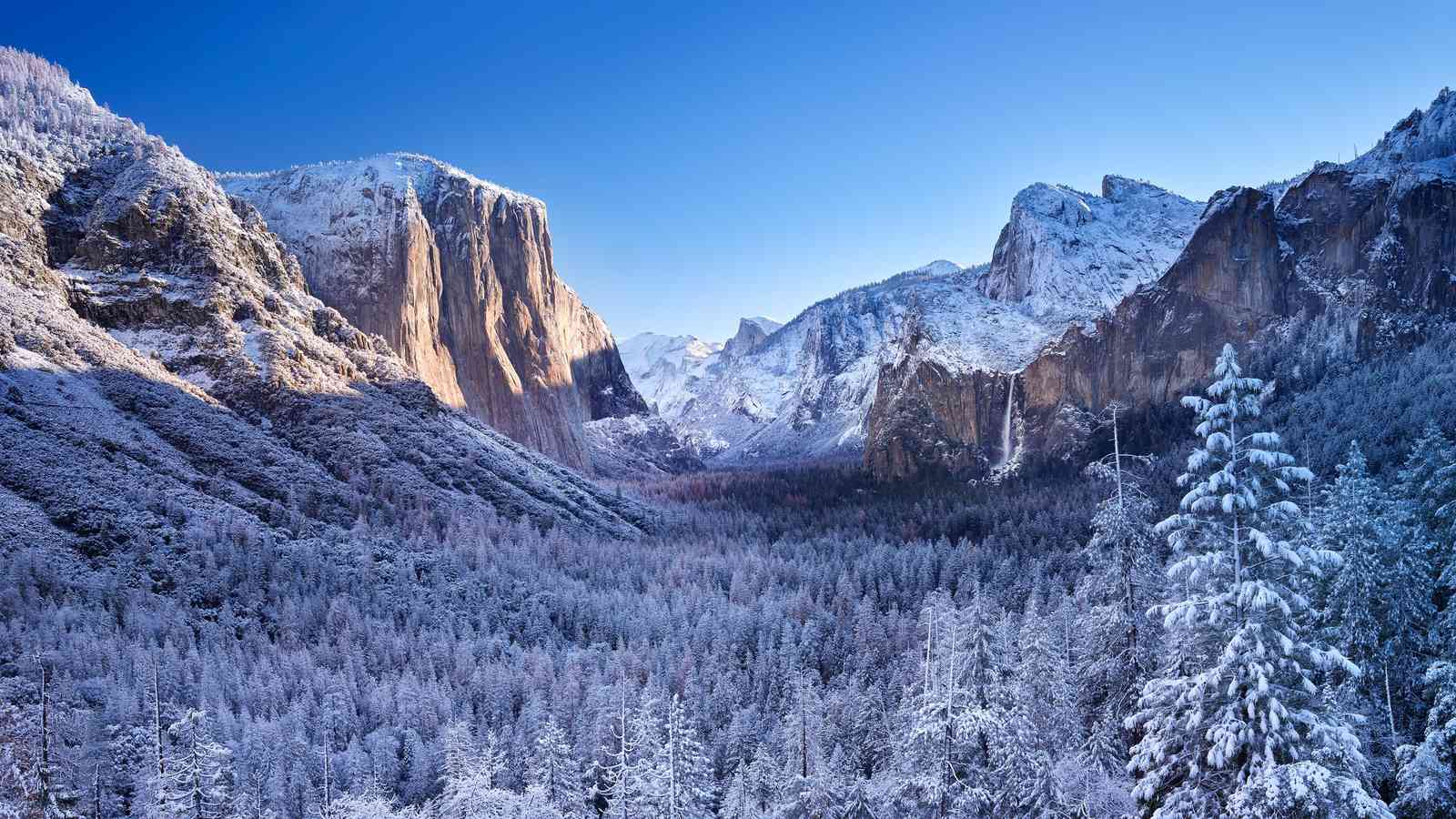 Majestic Yosemite Winter Landscape Wall Art