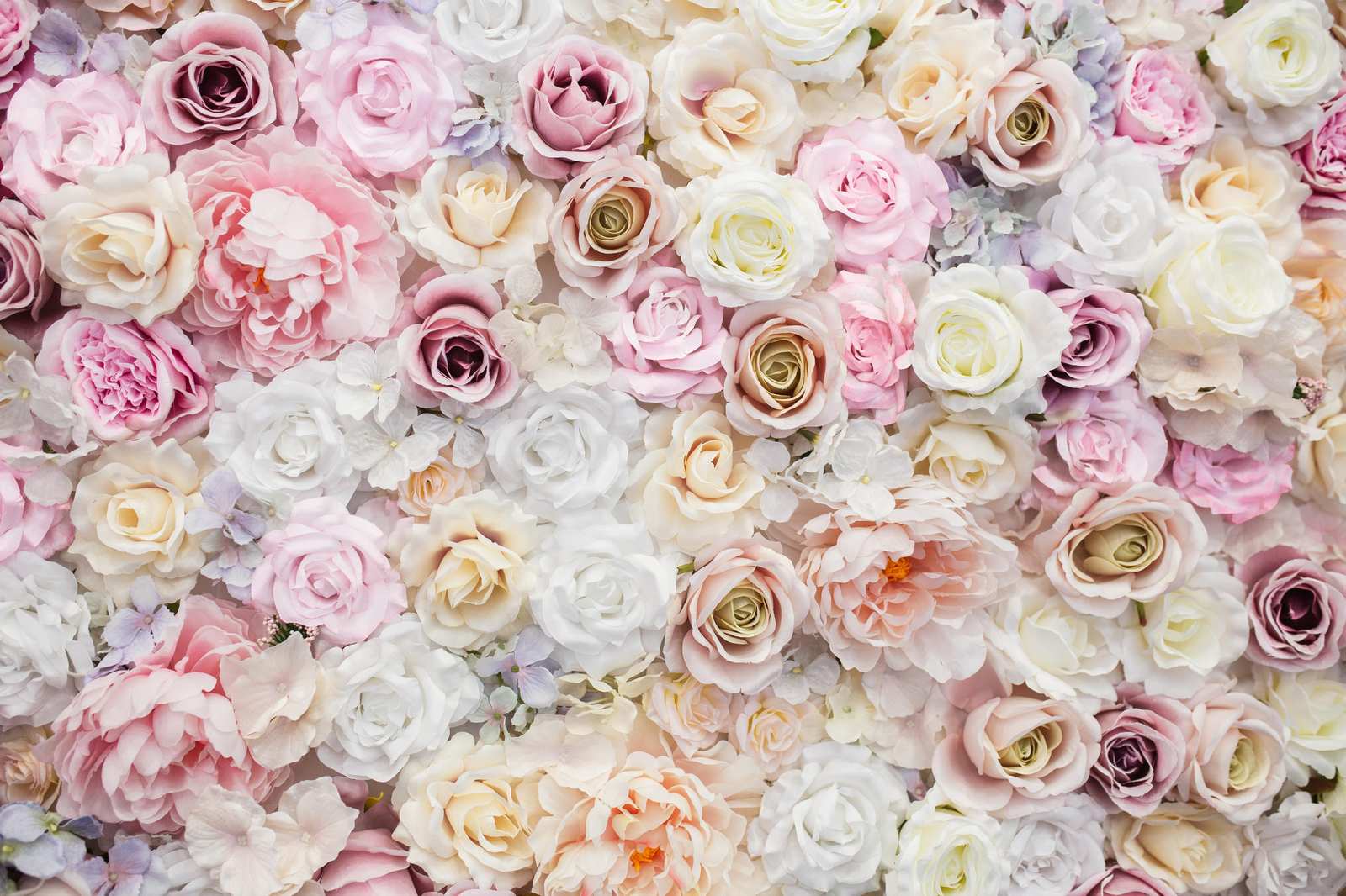 Romantic Blush Rose Garden Wall Art