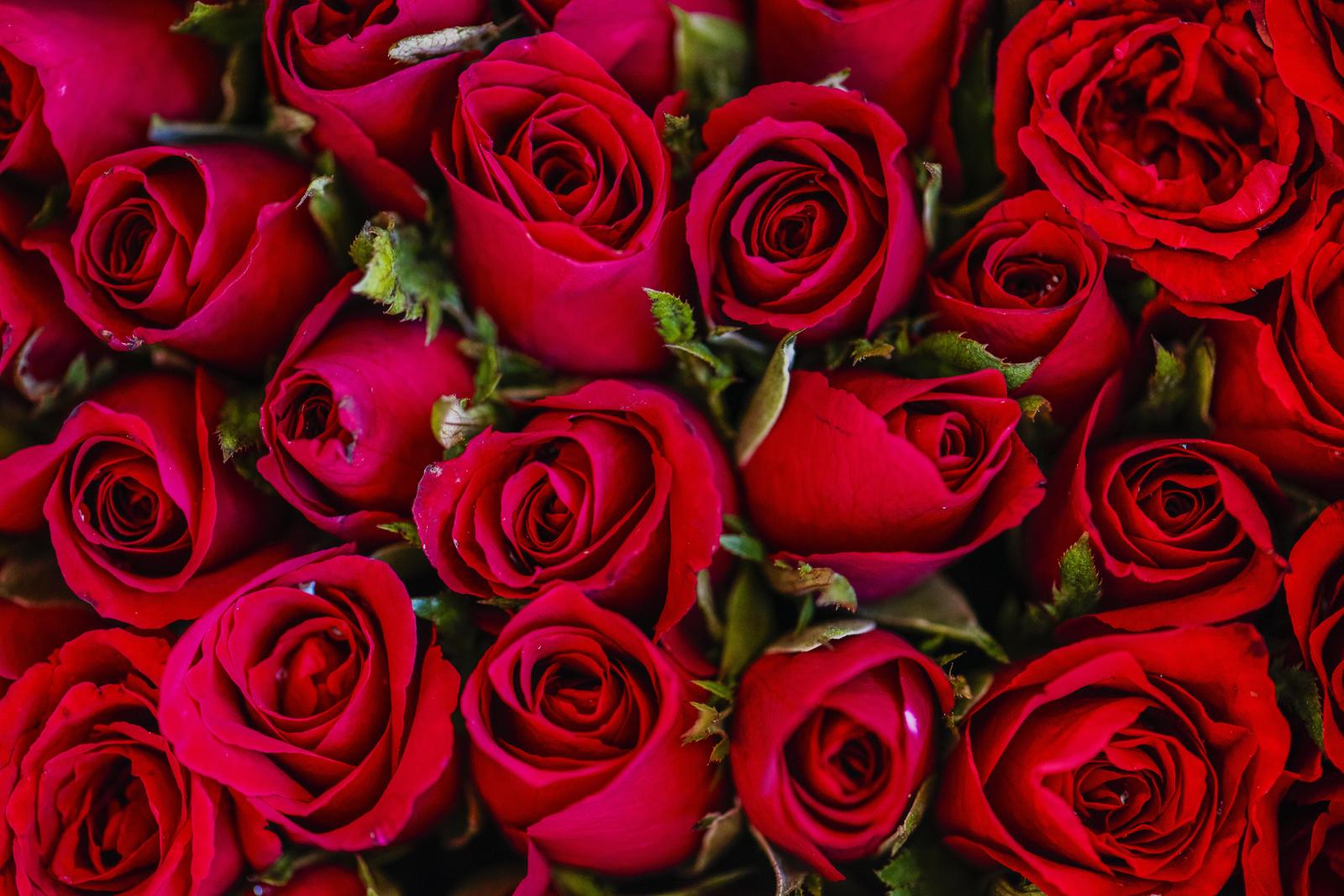 Luxurious Red Rose Bouquet Wall Art
