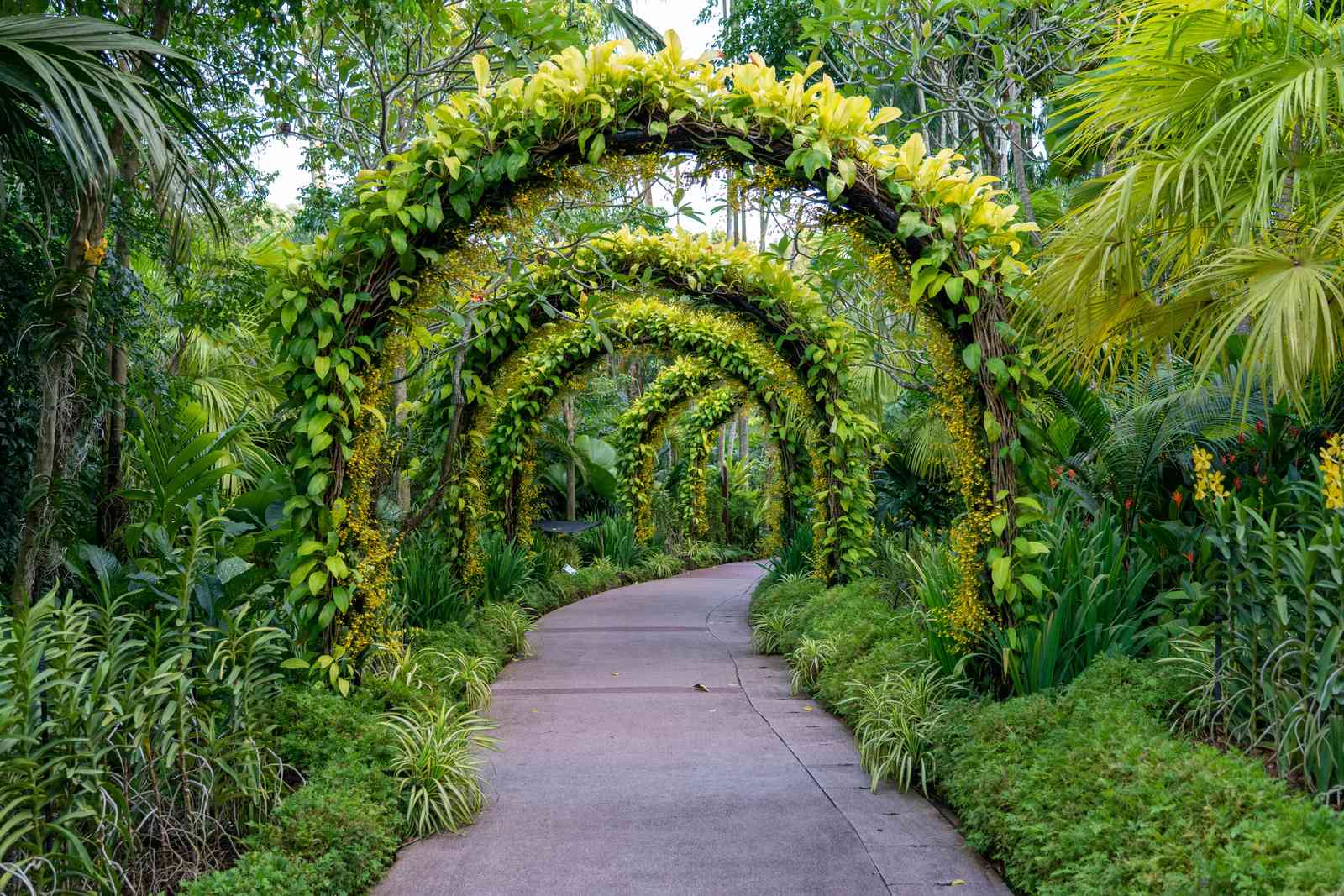 Enchanting Garden Archway Nature Wall Art